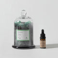 Sleeping Oasis Gemstone Diffuser [apple/amber]