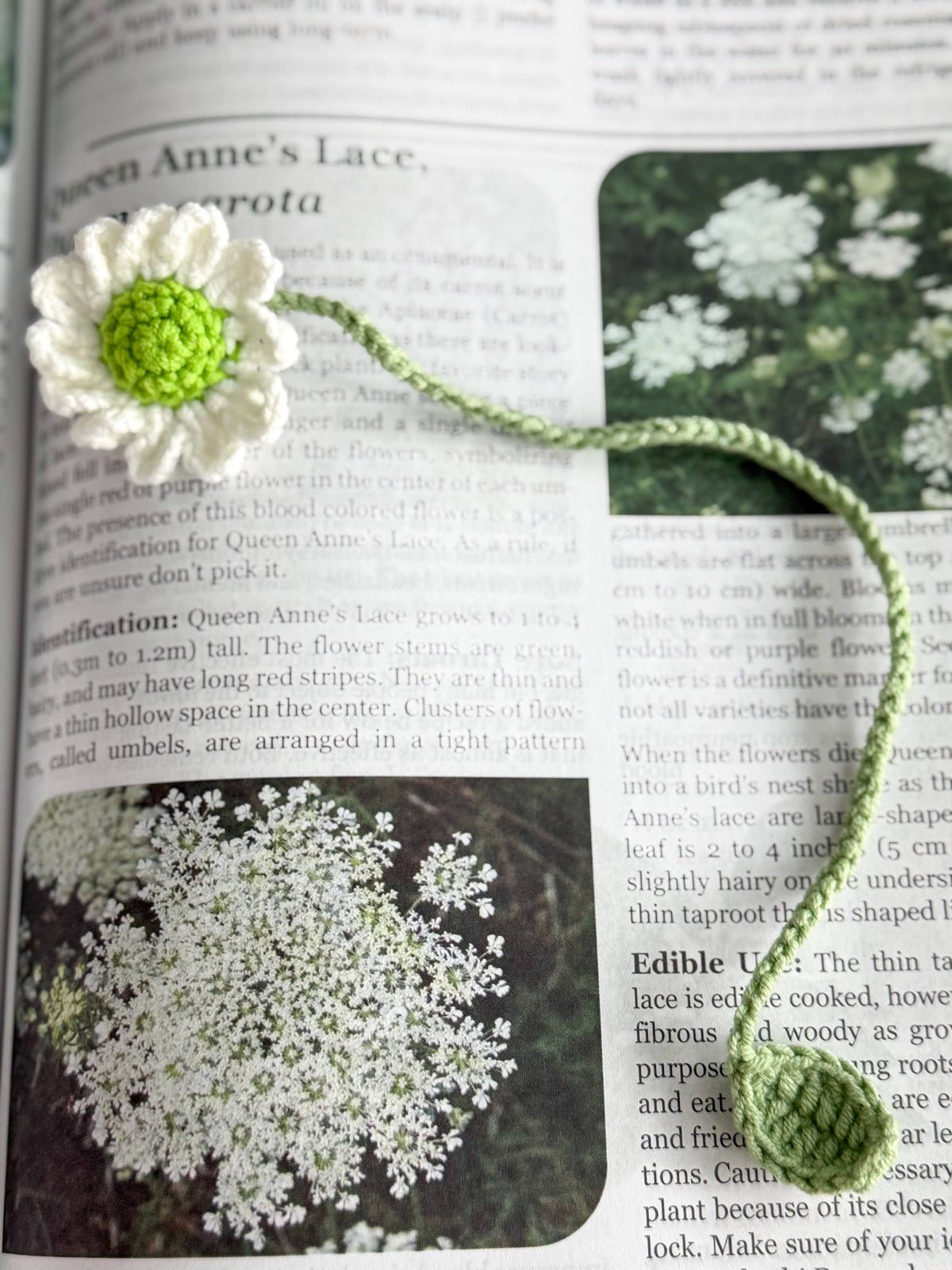 Dainty Crochet Bookmark "White Chrysanthemum