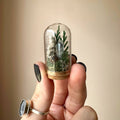 Moonlight Mini Crystal Fairy Terrarium Floral Glass Cloche: 1.75"