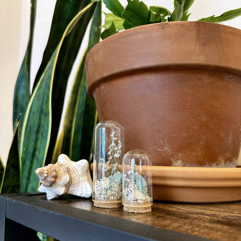 Saltwater Breeze Mini Terrarium Crystal Beach Desk Decor: 2.75"